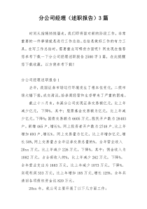 分公司经理（述职报告）3篇