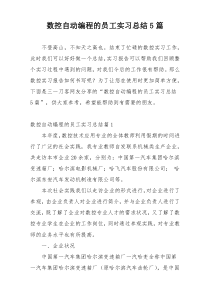 数控自动编程的员工实习总结5篇