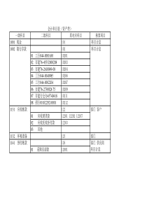 iu会计科目字典