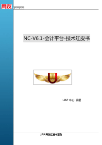 NCV61-会计平台-技术红皮书(整理后)