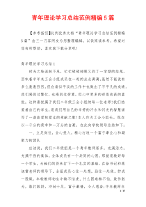 青年理论学习总结范例精编5篇