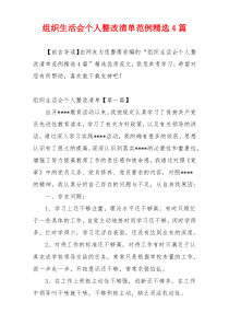 组织生活会个人整改清单范例精选4篇