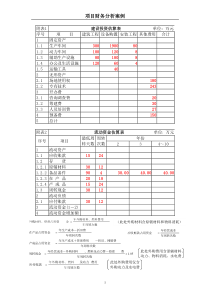 项目财务分析案例(DOC10)