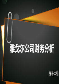 雅戈尔财务分析12组