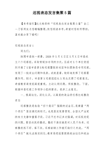 巡视表态发言集聚5篇