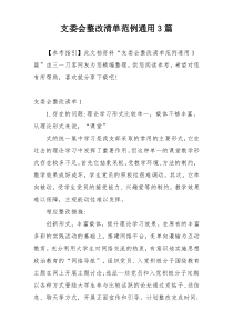 支委会整改清单范例通用3篇