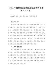 2022年组织生活会党支部班子对照检查范文（三篇）