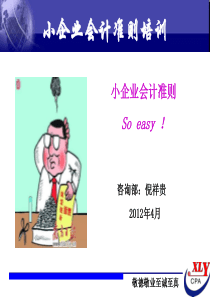 XXXX年小企业会计准则培训讲义