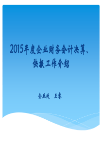 XXXX年度企业财务会计决算、快报工作介绍