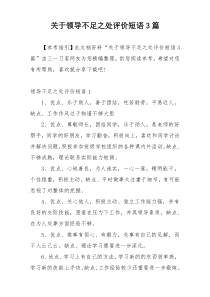 关于领导不足之处评价短语3篇