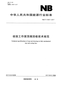 NBT 51067-2017 综放工作面顶煤回收技术规范 