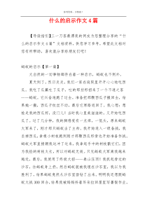 什么的启示作文4篇