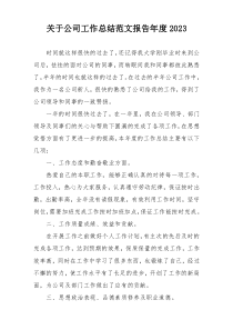 关于公司工作总结范文报告年度2023