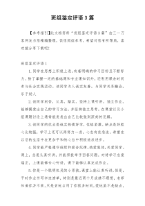 班组鉴定评语3篇