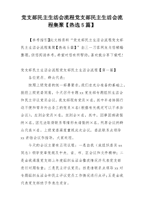 党支部民主生活会流程党支部民主生活会流程集聚【热选5篇】