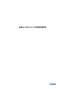 金蝶K3PLMV123多帐套配置指南v1