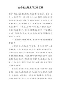 办公室文秘见习工作汇报