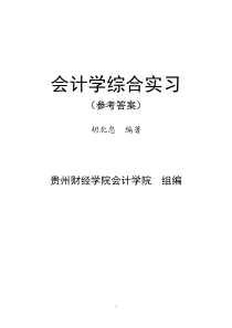 《会计学综合实习》