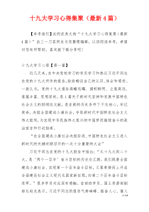 十九大学习心得集聚（最新4篇）