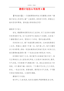 暑假计划怎么写实用4篇