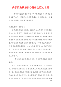 关于反洗钱培训心得体会范文5篇