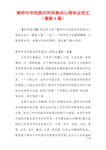 教师中华民族共同体意识心得体会范文（最新4篇）