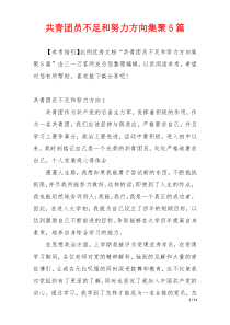 共青团员不足和努力方向集聚5篇