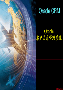 ORACLE为电信做的客户关系管理