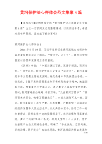 黄河保护法心得体会范文集聚4篇