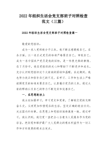 2022年组织生活会党支部班子对照检查范文（三篇）