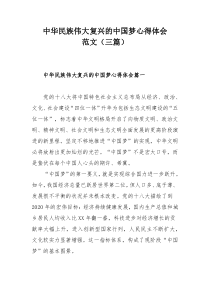 中华民族伟大复兴的中国梦心得体会范文（三篇）