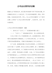 公司会议领导讲话稿