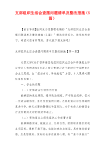 支部组织生活会查摆问题清单及整改措施（5篇）