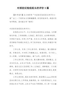 对派驻纪检组组长的评价3篇