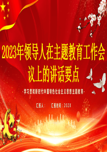 2023年领导人在主题教育工作会议上的讲话要点PPT课件