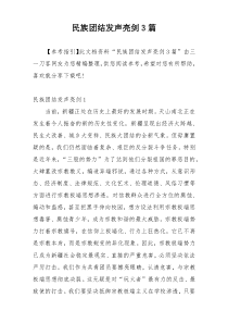 民族团结发声亮剑3篇