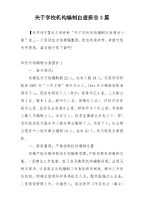 关于学校机构编制自查报告3篇