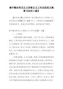 集中整治形式主义官僚主义工作总结范文集聚【实用4篇】