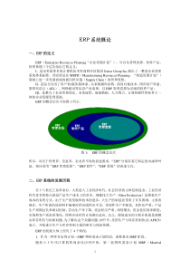 ERP概论（DOC12）