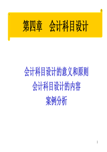 会计制度设计(第四章) 湖工朱菊莲老师版本XXXX