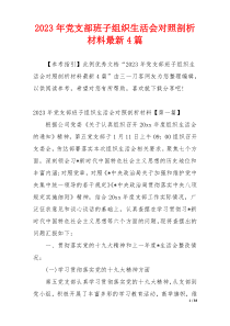 2023年党支部班子组织生活会对照剖析材料最新4篇