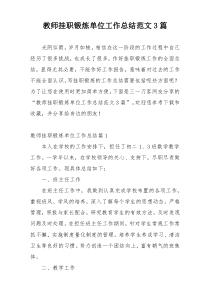 教师挂职锻炼单位工作总结范文3篇