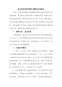 违反财经纪律问题专项整治自查报告