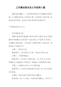 工作整改报告怎么写范例4篇