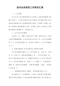 技术业务组的工作报告汇报