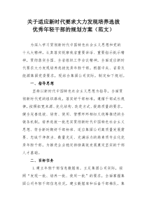 关于适应新时代要求大力发现培养选拔优秀年轻干部的规划方案（范文）