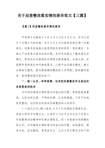 关于巡查整改落实情况报告范文【三篇】