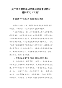 关于学习筑牢中华民族共同体意识研讨材料范文（三篇）