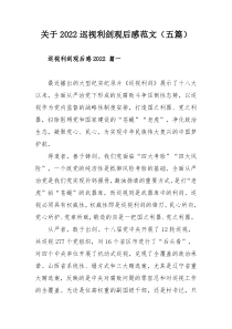 关于2022巡视利剑观后感范文（五篇）