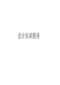 会计实训指导(全)